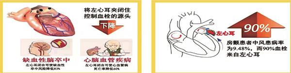 图片13.jpg 图片13.jpg