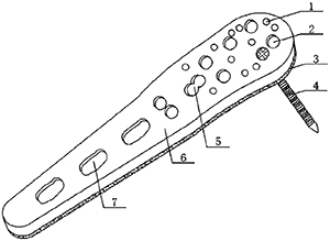 图片9.jpg 图片9.jpg